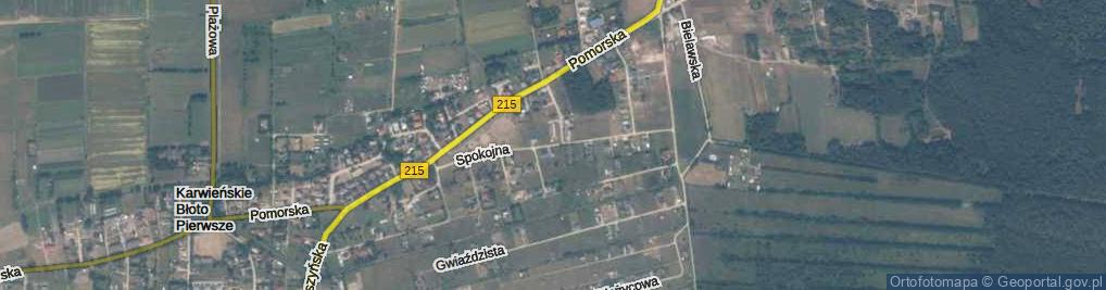 Zdjęcie satelitarne Spokojna ul.